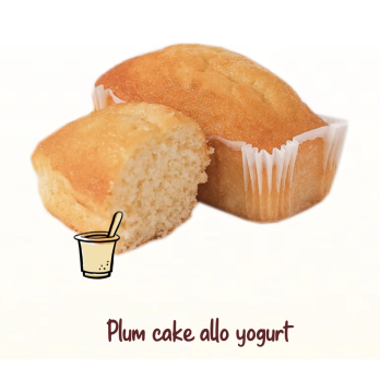 Plum Cake allo yogurt 175 gr ValdiPorro