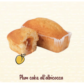 Plum Cake all'albicocca 205 gr ValdiPorro