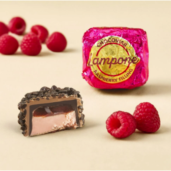 CUBOTTO CHOCOVIAR VENCHI LAMPONE 1 KG